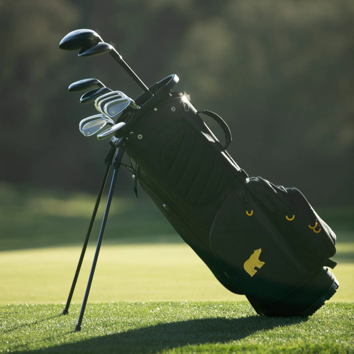 Nicklaus Women's 10 Club Set - Image 9